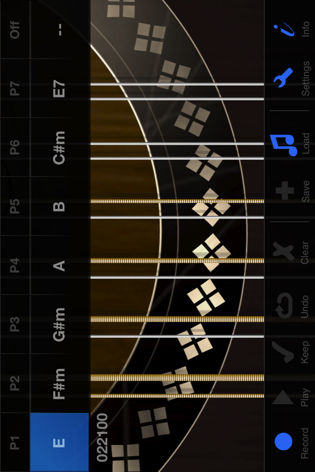 12-String Guitar